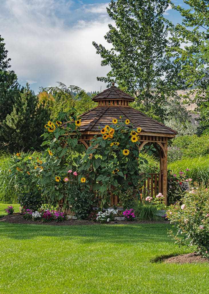 area-recreacion-parque-bancos-gazebo-madera-girasoles