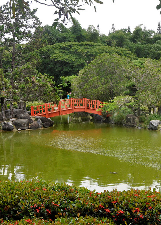 -cover-jardin-botanico-Jardin-Japones